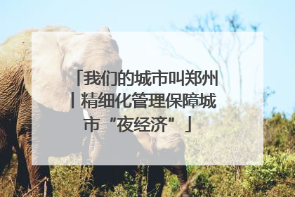 我们的城市叫郑州丨精细化管理保障城市“夜经济”